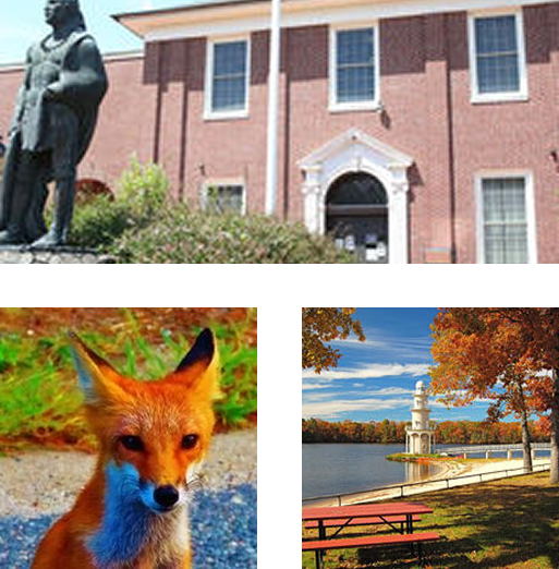 Mays Landing Img2